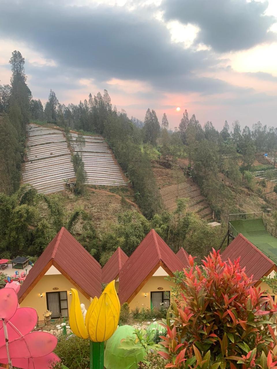 Hotel Nature Bromo And Resort Пасуруан Экстерьер фото
