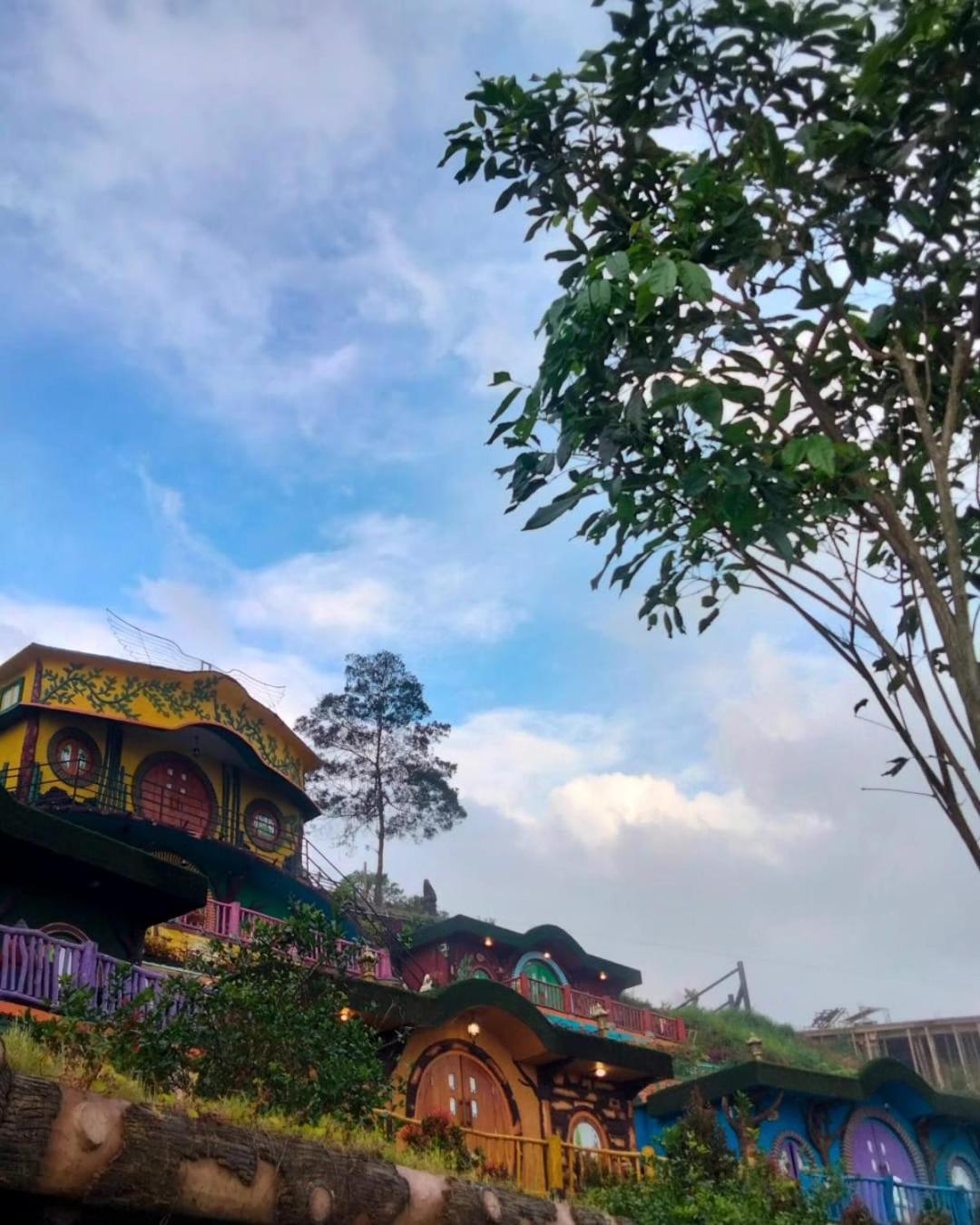 Hotel Nature Bromo And Resort Пасуруан Экстерьер фото
